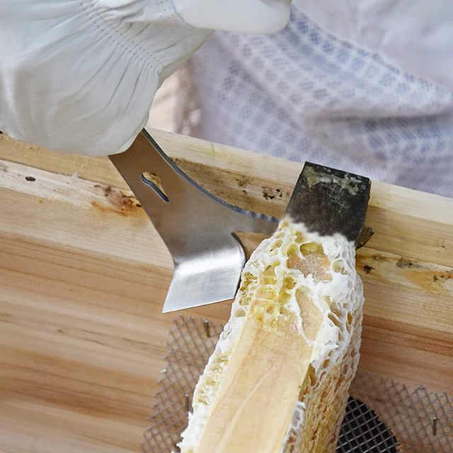 Méhészeti Hüvelykujj-Típusú Kaparó Méhkate-Kaptár Szerszám Méhek Tárolása Apikultúra Berendezések És Szerszámok A Méhész Hdht-005 Számára - Image 5