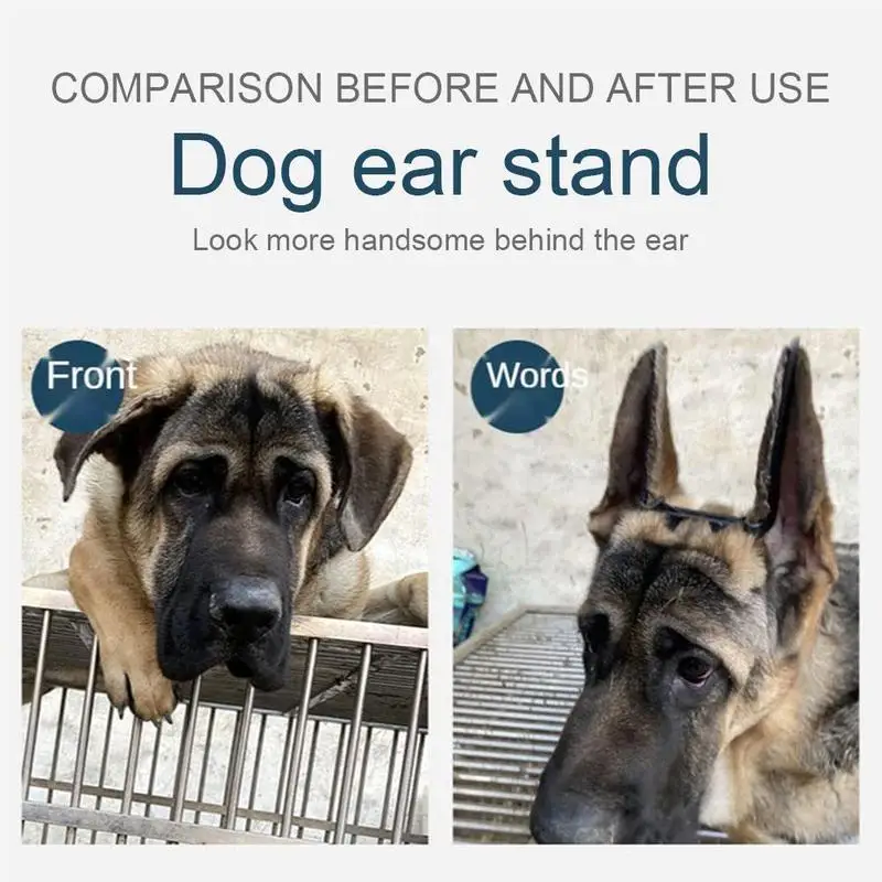 Title 9, Dog Supplies Puppy Ear Care Tools Ear Stand Up ...