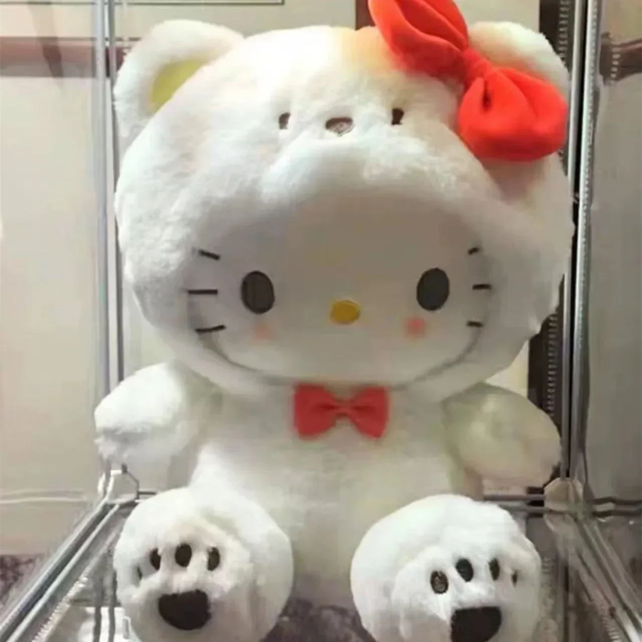 25cm 6