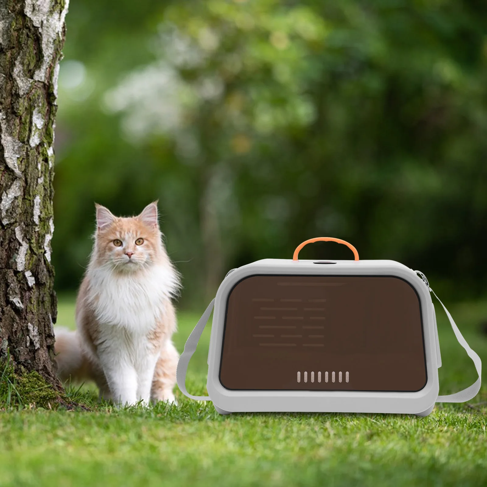 Pet Cat Carrier: Luxe Travel for Tiny Travelers