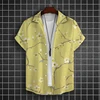 Simple Hawaiian Men's Beach Shirts 3d Flower Print Summer Casual Short Sleeve Daily Street Tops Tees New Fashion Men Clothing 3