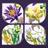 891PCS Romantic Flower Bouquet Building Blocks Eternal Flower Plant Assemble Bricks Creative Desktop Decoration Girls Gifts Toys 2