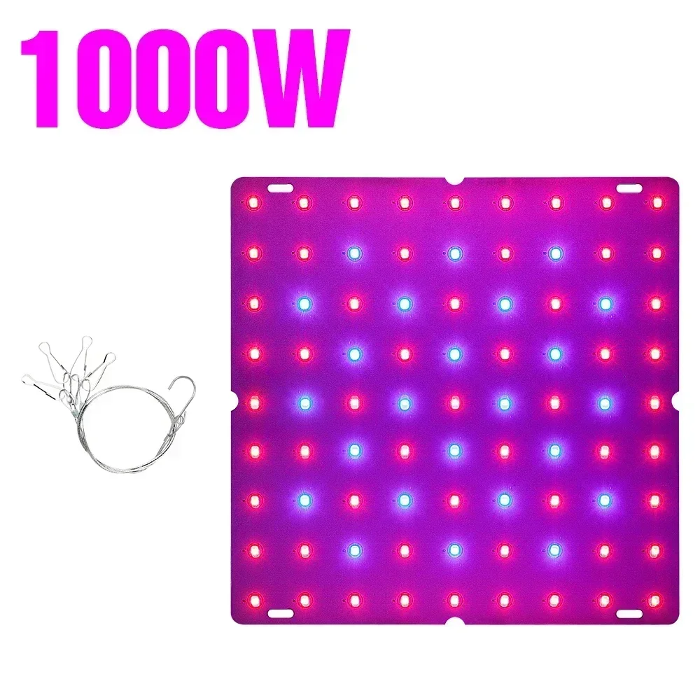 A-81 leds