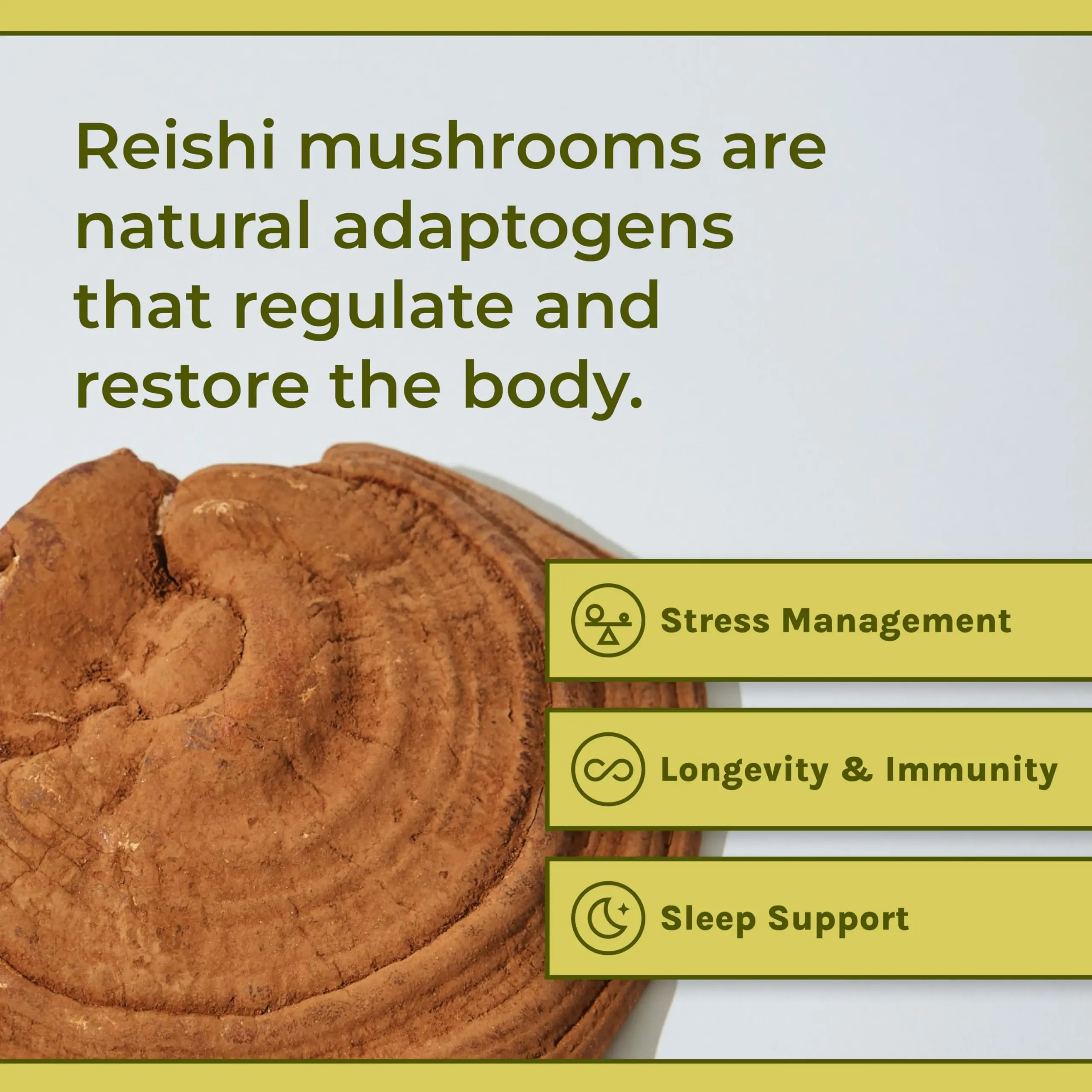 Health Supplement Ganoderma lucidum natural adaptive agent regulates restores body relieves stress immunity
