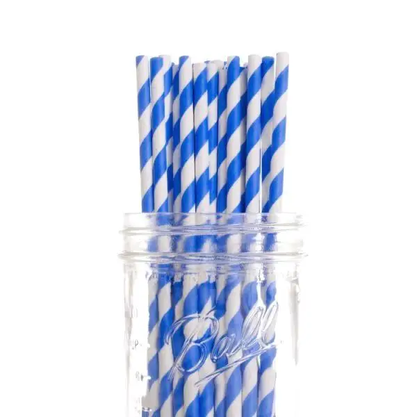 1000 Bulk Paper Drinking Straws Blue White Eco-Friendly Biodegradable for Birthday Parties Takeaway