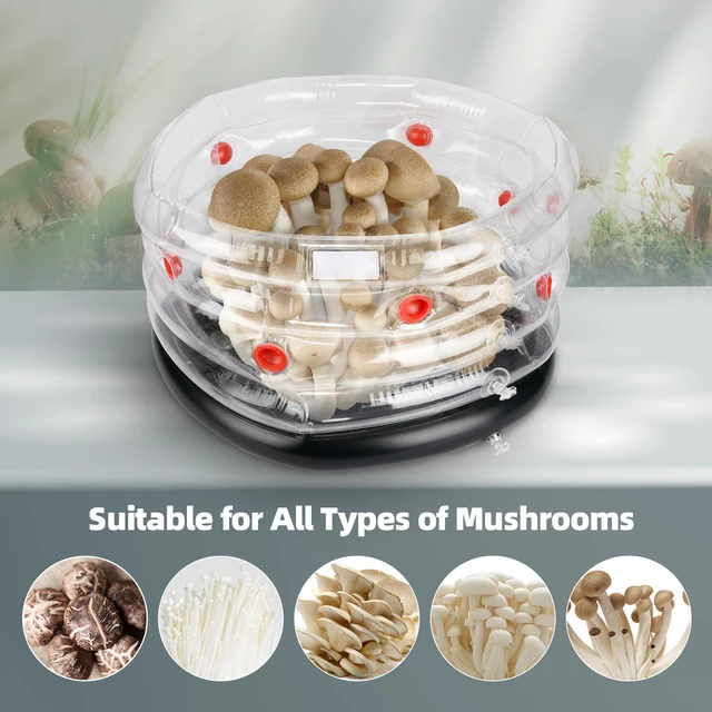 Kerek Gomba Monotub Készlet-Inflatiable Gombatermelő Táska Dugókkal És Szűrőkkel Friss Levegőcseréhez, Kerti Készlet - Image 3