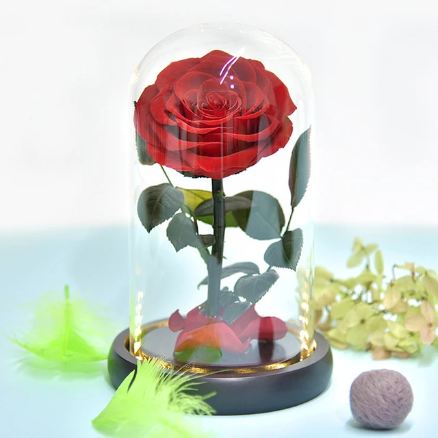 Nice-looking Lightweight Create Atmosphere Artificial Eternal Forever Rose  Decor Preserved Flower Festival Supplies - AliExpress