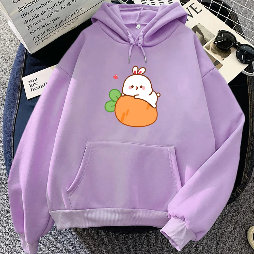 Rabbit and Carrot Cute Printed Hoodies Women/Men Kawaii Cartoon Print Sweatshirts Winter Comfortable Casual Girls Pullovers Tops