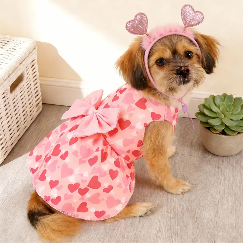 Vestido de princesa con corazones para perros pequeños_voghion.com