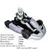 RT8 Racing Kart  1：8 Scale Electric-powered Racing Kart For Thunder Tiger，Promotion 8 units, equippe steering gear 3