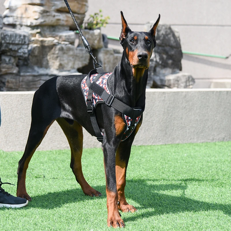 Sf0925cbc0379403b83ac6af78dfc4f31F