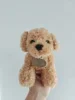 Teddy Dog Plush Toy for Pet Interactive Chew-resistant Puppy Teething Boredom Relief Soft Stuffed Animal Toy for Dog Theme Party 4