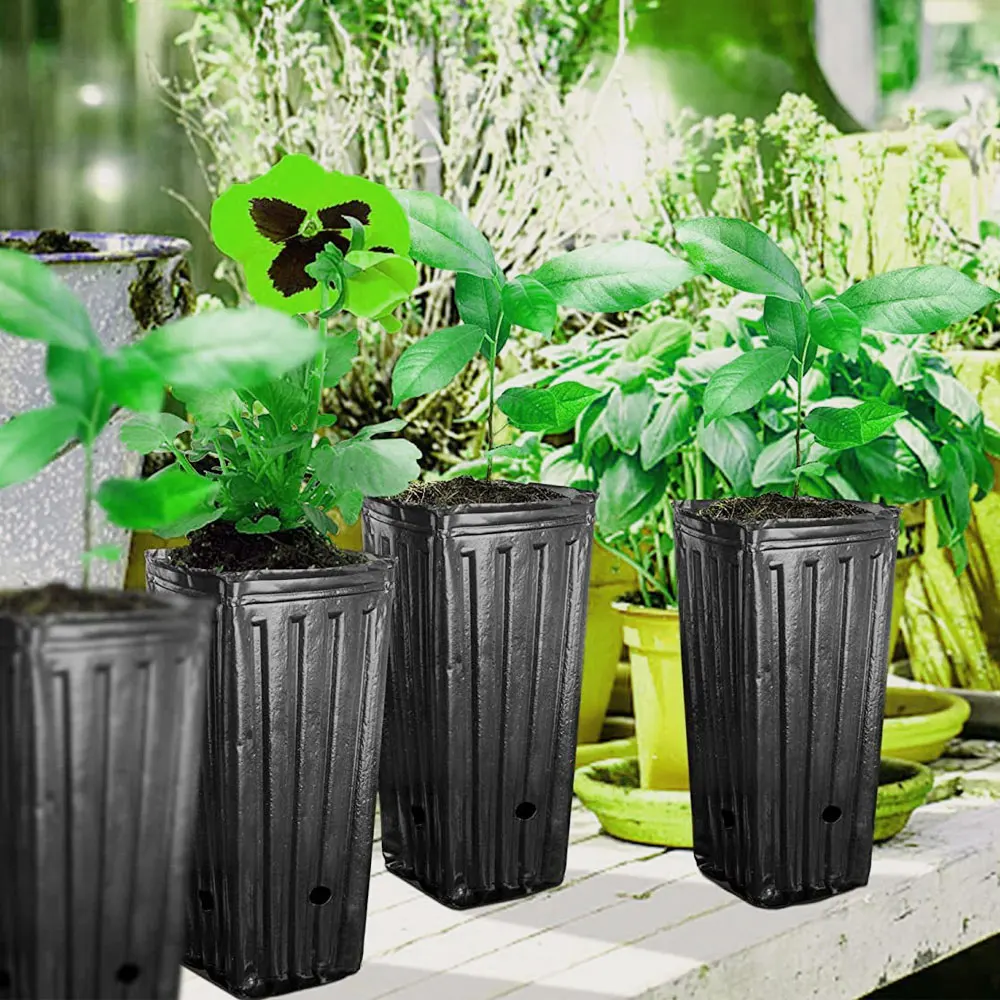 正方形 育苗ポット 3.1インチ 100個 多肉植物 プラスチック 保育園 正方形 育苗ポット 3.1インチ 100個 多肉植物 プラスチック 保育園