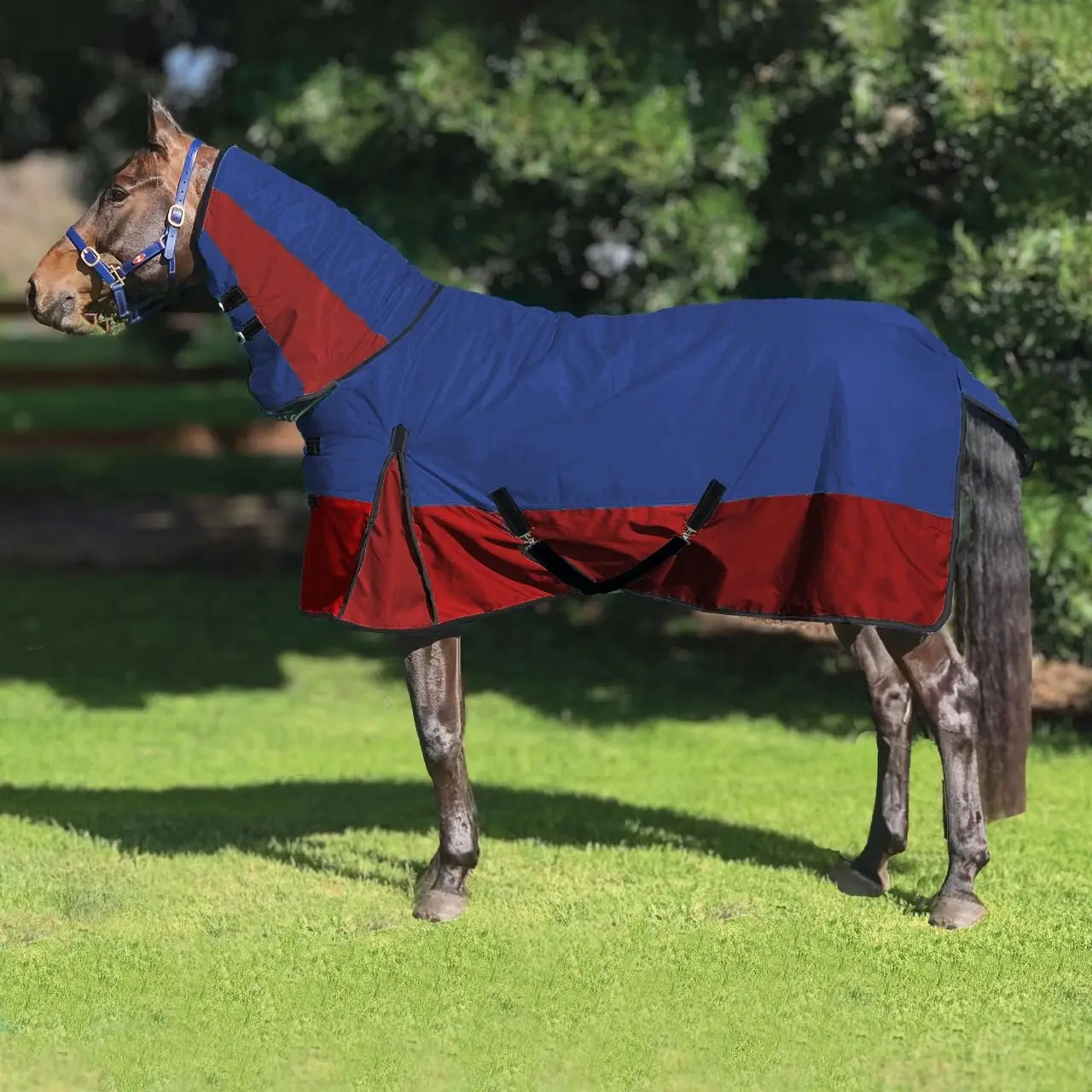 Horse Racing waterproof horse rug winter blanket windproof soft fleece protection shoulder guesset various colors