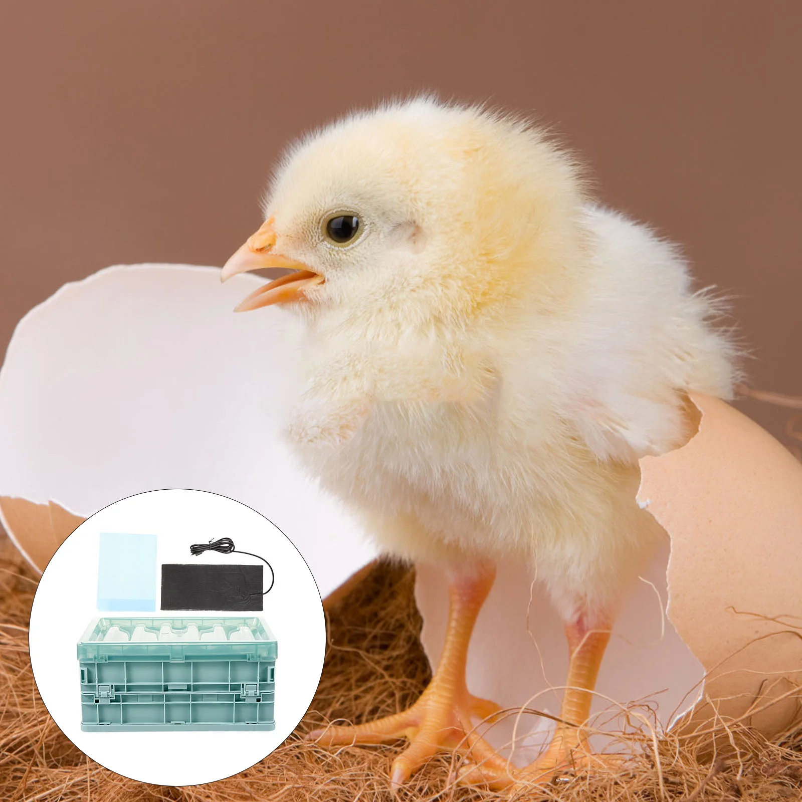 Mini Reusable Parrot Brooder Box Egg Incubator Chick Brooder Heater Pad Bird Treat Vitamin Pet Products Supplies