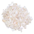White shell