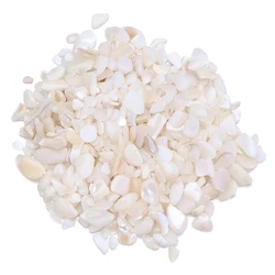 Natural Crystal Gravel Stones | Mixed Gemstones for Reiki, Ore Samples, and Aquarium Decor | 100g (White shell)
