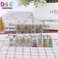 DIY Cactus Miniature Succulent Cactus Terrarium Wearable Necklace Live Succulent Plant Pendant Random Style 1