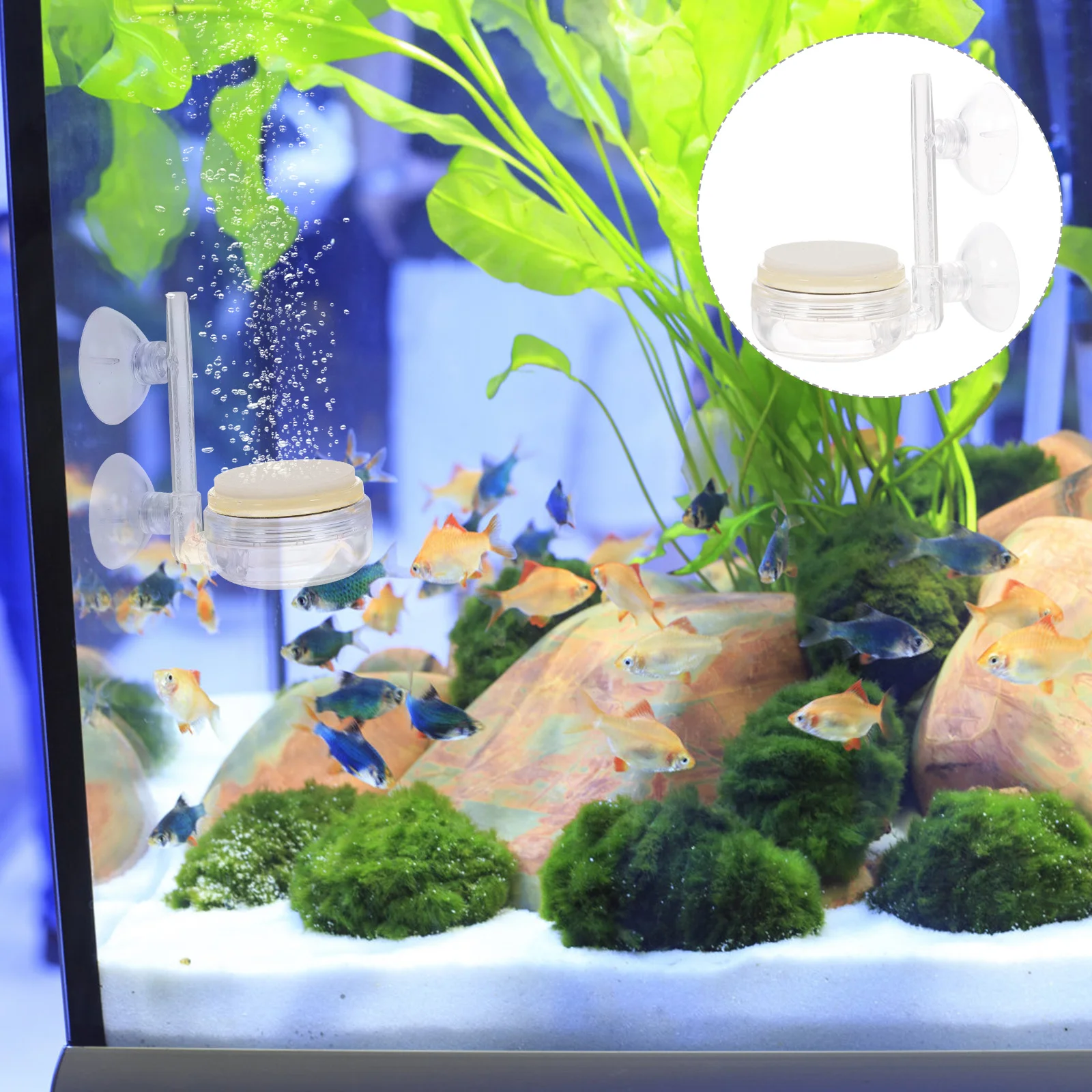 

1 Set of Bubble Diffusers Bubble Stones Airstones Diffusers Aquarium Supplies with Control Valve