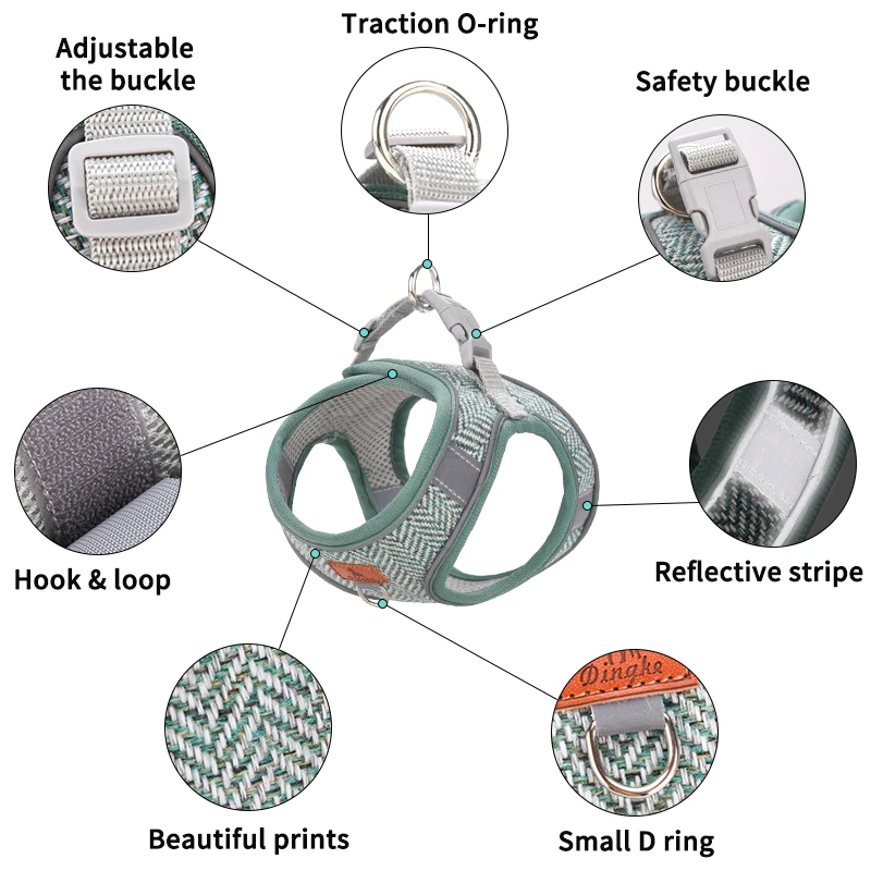 dsc-products