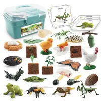 1 Set Life Cycle Learning Toys Frog Butterfly Chicken Mantis Bee Plants Educational Figurines for Kids 2