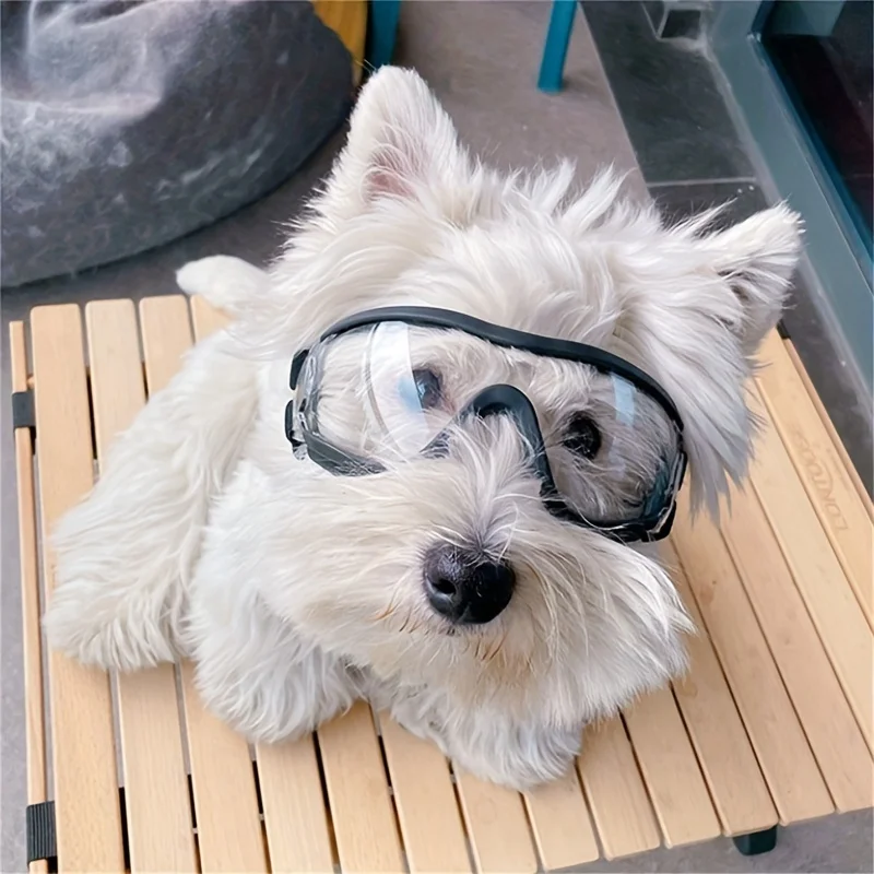 Dog Goggles Eye Glasses For Dogs Windproof UV Resistant Adjustable Strap Outdoor