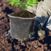 6pcs Root Protector Wire Baskets Root Protector Plants Baskets Cord Protector Woven Baskets Stainless Steel Outdoor Cover 1