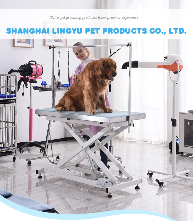 

High Quality Dog Grooming Water Blower Double Motor Pet Dryer