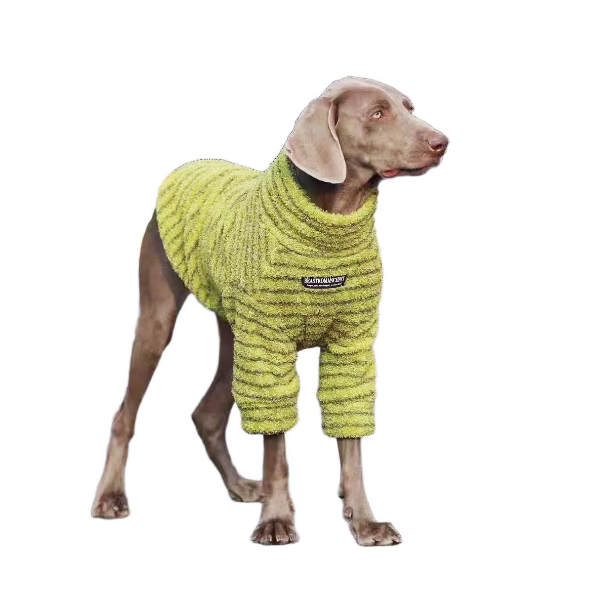 Cozy Stripe Fleece Turtleneck Dog Sweater - Winter Pullover