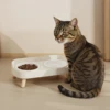 Double Pet Bowl No Spill Food Water Feeder with Stand Neck Support for Cats Dogs Anti Knock Anti Slip Elevated Design 3