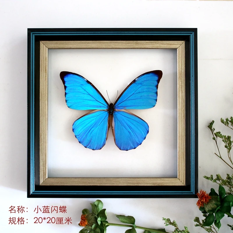 

Real butterfly specimen morpho Menelaus self made stereo photo frame home decoration birthday gift Exhibition home accessories