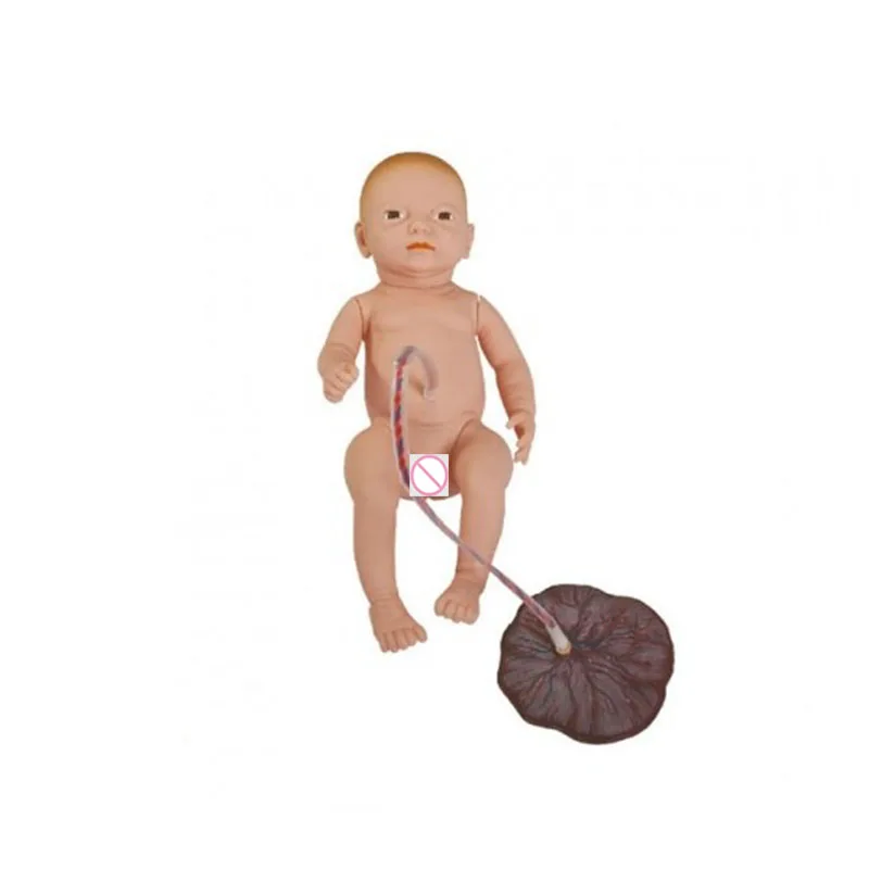 New Born Manikin，Neonatal Umbilical Cord, Placental Care Model