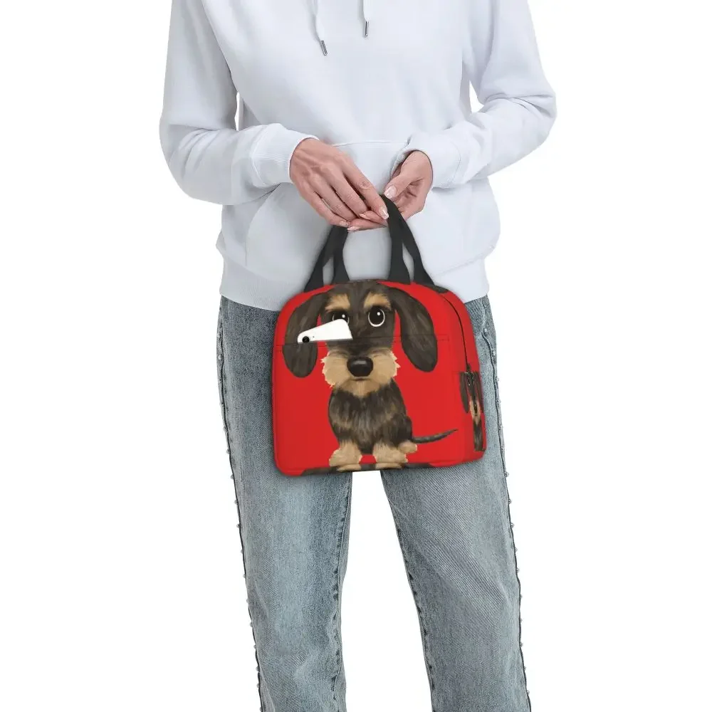 wirehaired-dachshund-lunch-bag-leakproof-thermal-bento-box-tote