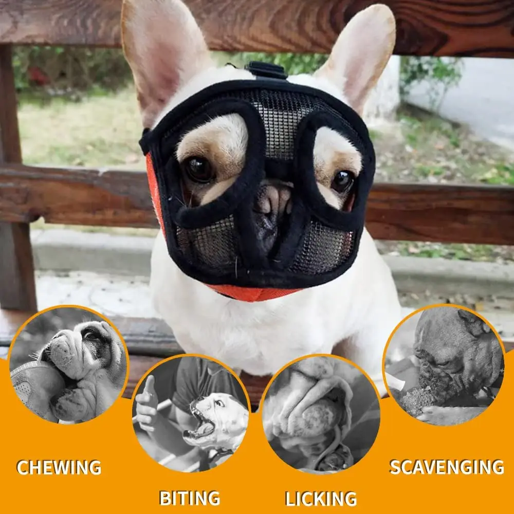 Pet Dog Muzzles Short Snout Breathable Mesh French Bulldog Pug Mouth  Adjustable Muzzle Mask Stop Barking Dog Outdoor Supplies - AliExpress