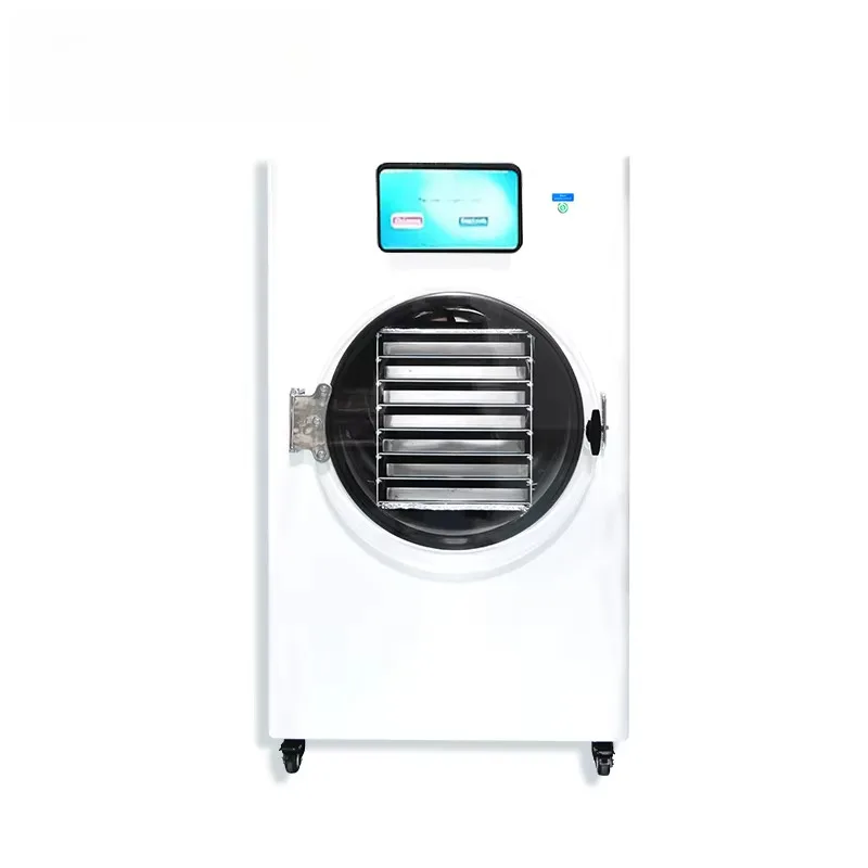 Compact Vacuum Freeze Dryer 4