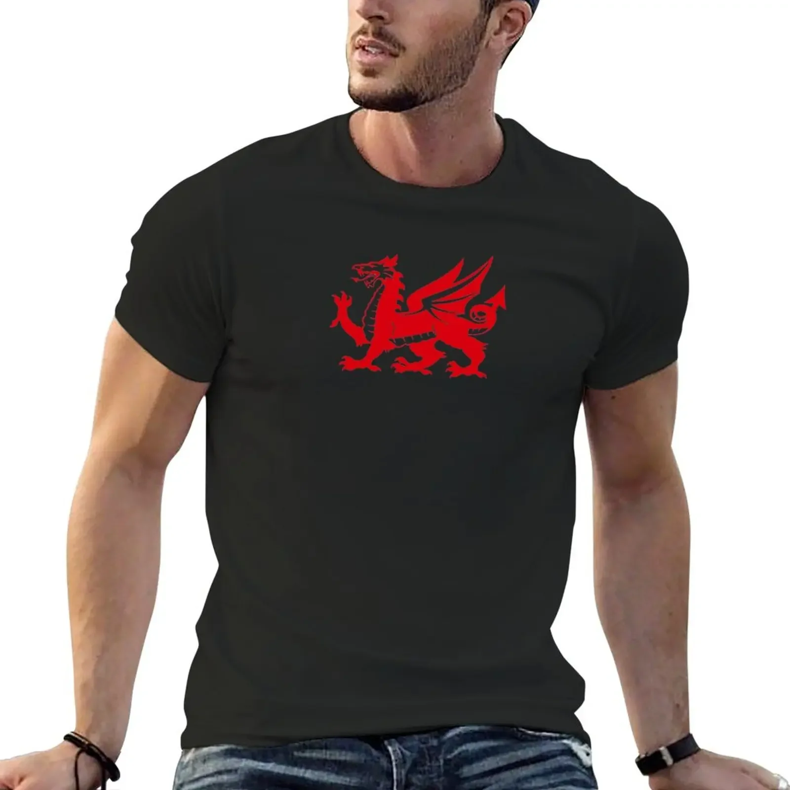 

Wales T-Shirt cute tops new edition t shirt for men