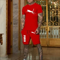 2025 mode et décontracté été Sports de plein air ensemble hommes respirant T-shirt et short décontracté mode deux pièces ensemble 5