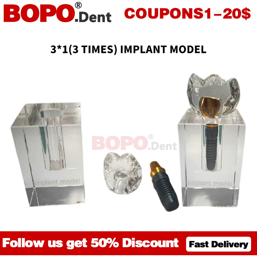 

Dental Teeth Model Implant Teeth Model Dentist Student Learning Teach Material Research Communication Separable Dentist Lab Tool