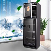 L'm'm Home Use and Commercial Use Vertical Double Door Small Type Restaurant Beauty Salon Cleaning Cabinet 2