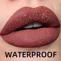 1PC Waterproof Matte Velvet Lip Glaze Moisturizing Long Lasting Non-stick Cup Not Easy To Fade Lip Gloss Lipstick Korean Makeup 2