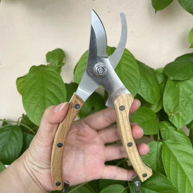 Solid Wood Shears Carbon Steel Sharp Curved Pruners Plant Grafting Floral Trimming Non-Slip Handle Garden Manual Scissors 2