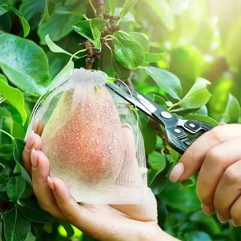 Comprehensive Guide to Protection for Fruit Trees: Choosing, Using, and ...