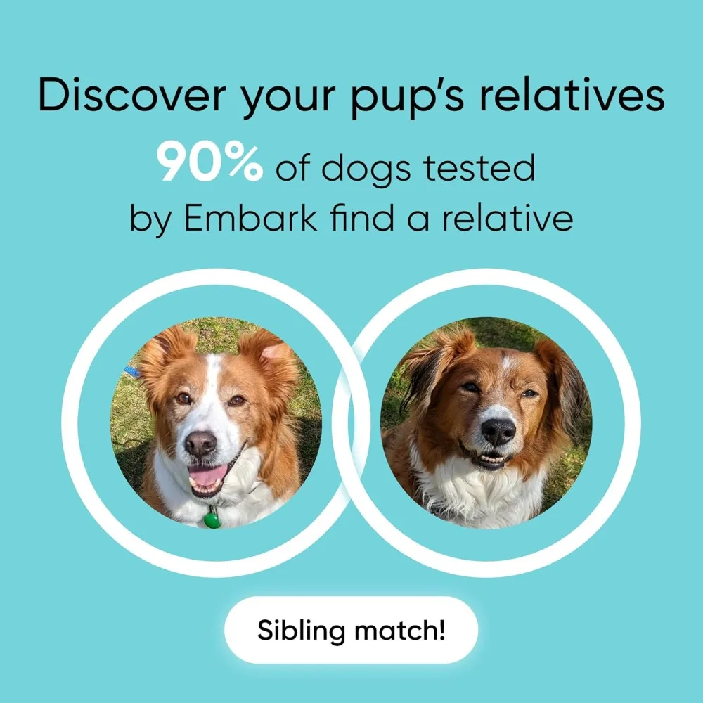 Accurate Dog DNA Testing Kit for Breed Identification