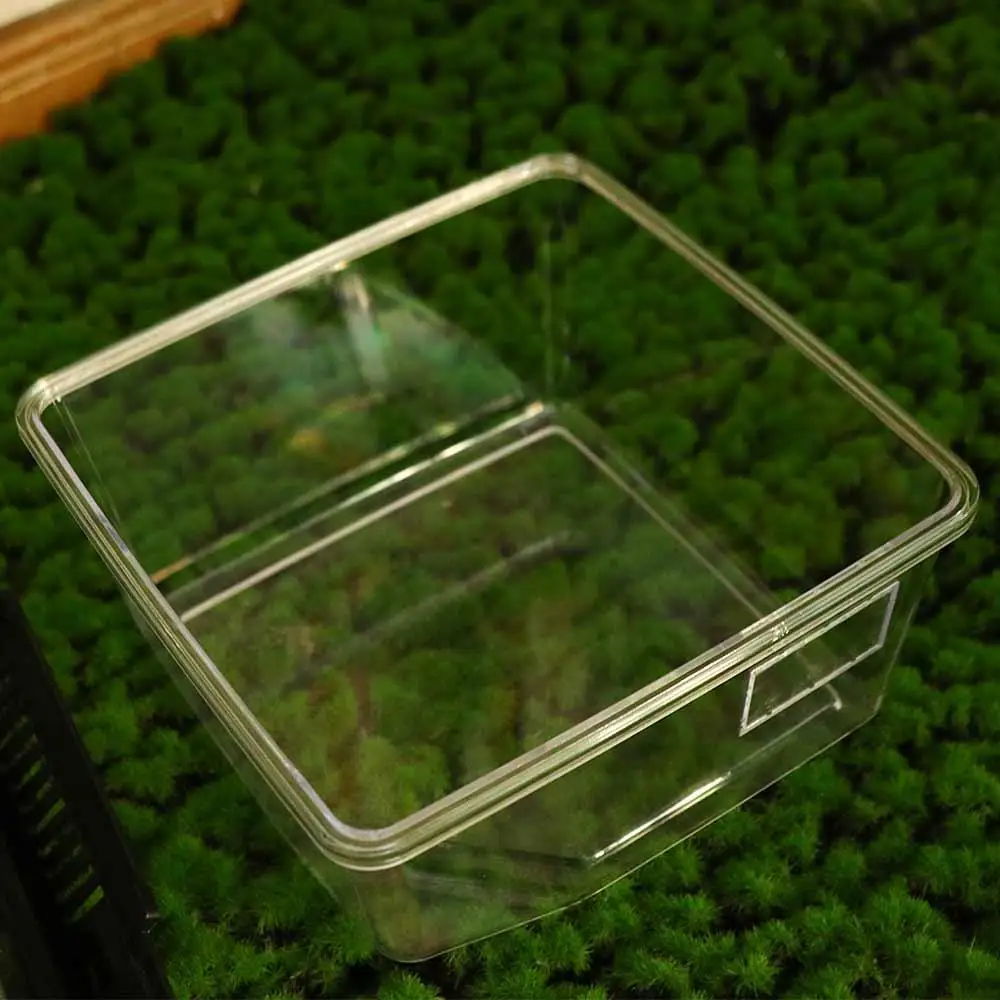 Title 5, Transparent Anti-escape Reptile Terrarium Tank ...
