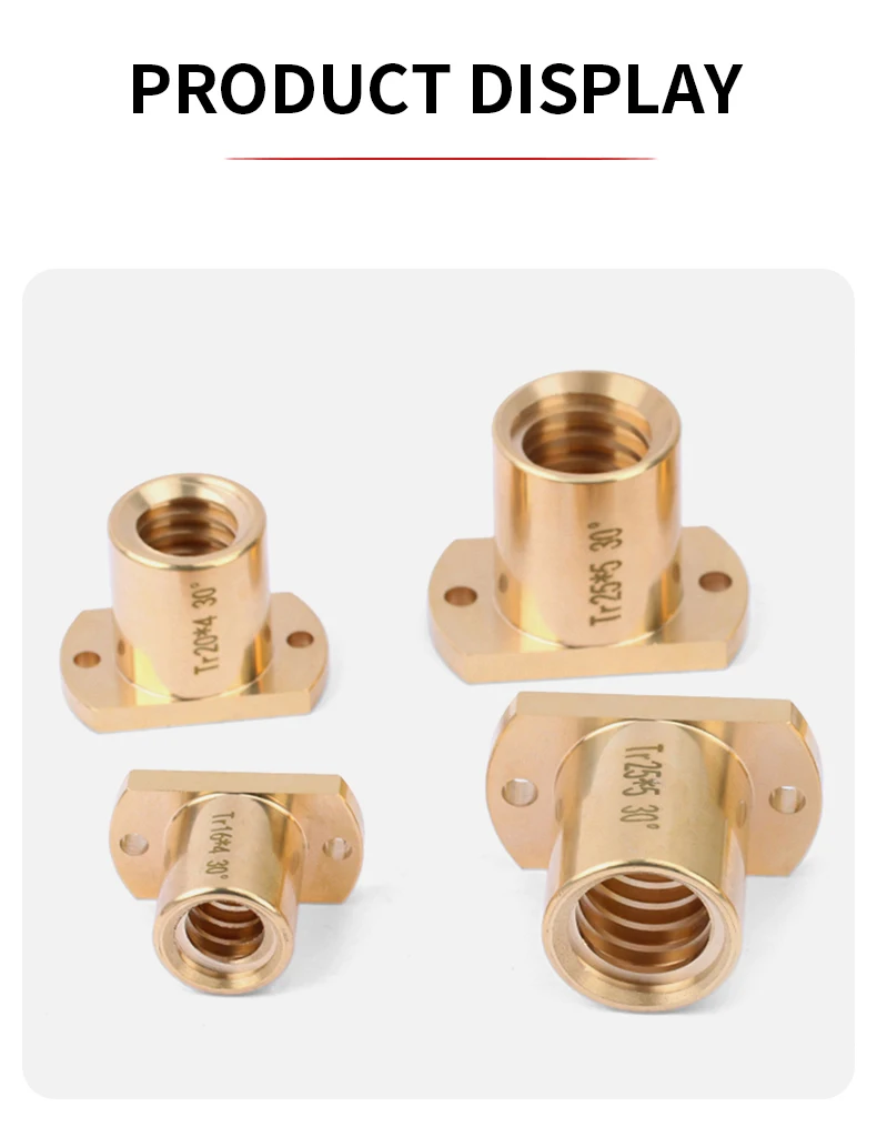 Kieferorthopädische T-förmige Doppelkantige Kupferflanschmutter mit zwei Löchern T10 T12 T14 T16 T18 T22 T25 T28 T30 T32 T36 – Detail 12