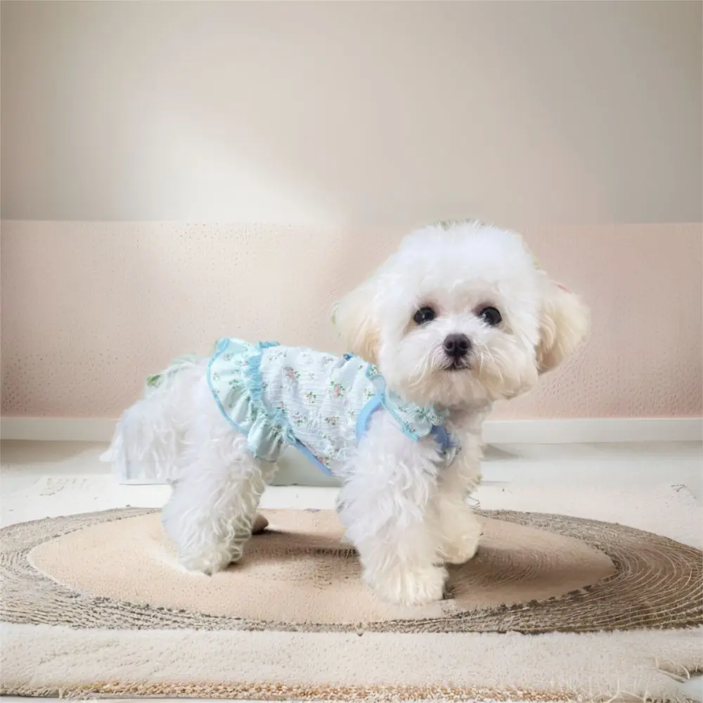 Summer Dog Dress 4