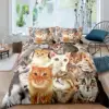 Cute Cat Duvet Cover Set Boys Girls Adults Animal Printed Bedding Set Pet Theme Comforter Cover Pet Quilt Covers with Pillowcase 2