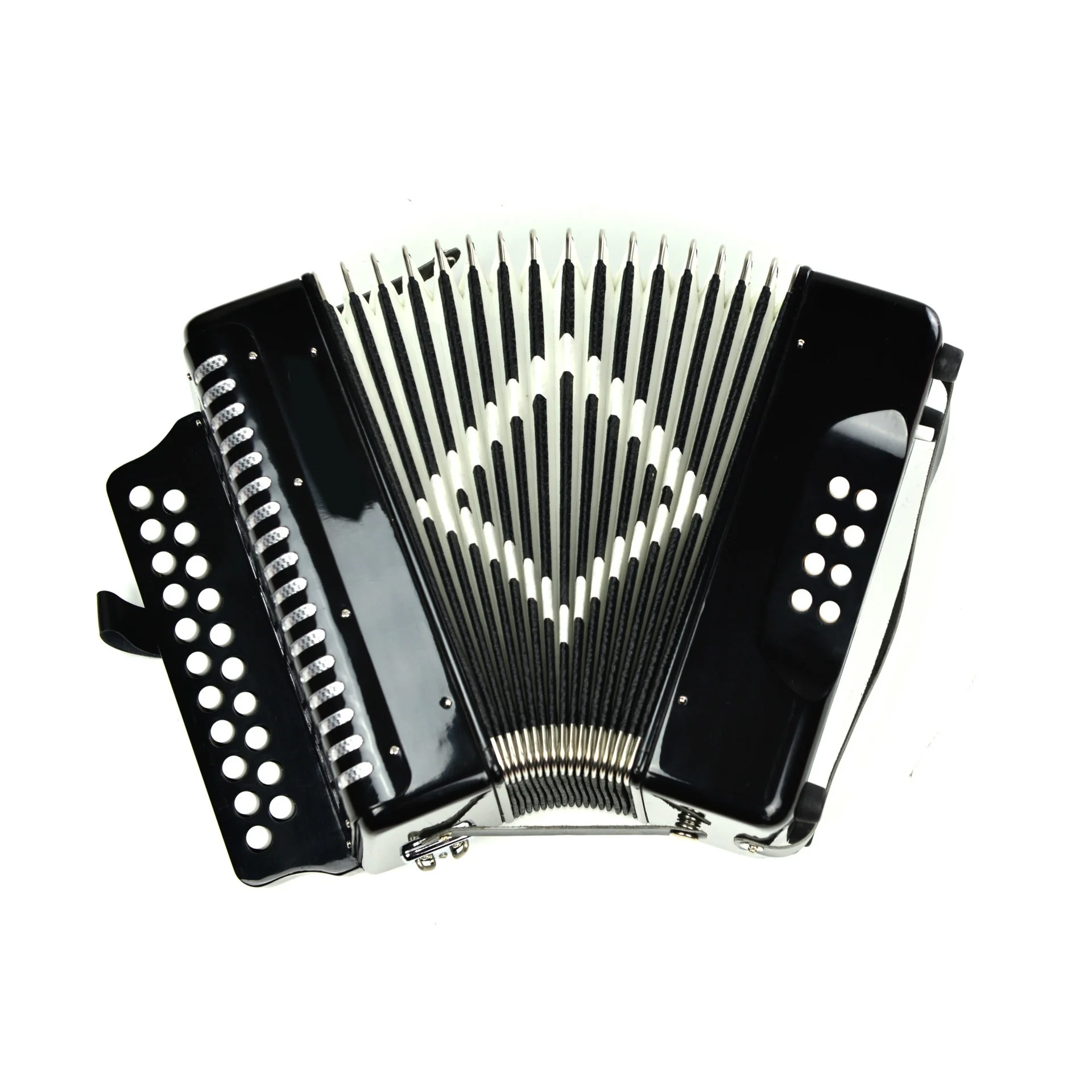 Accordion, Piano Accordion 8 Bass 22 Key Accordian Instrument with  Accordion Strap Button Accordion for Adult Professional Accordions for Kids  Playing