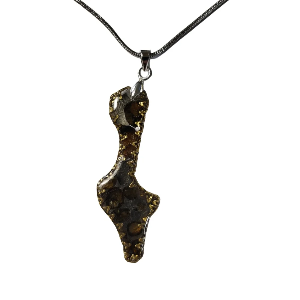 

Brenham Meteorite Pendant Natural olive meteorite pendant Jewelry material Specimen pendant for men and women - TB294