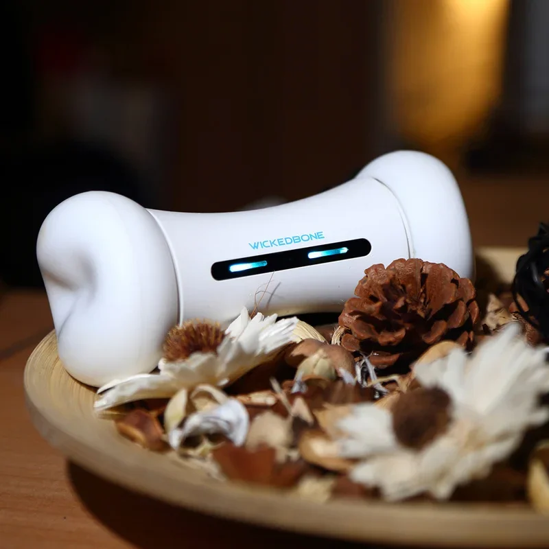 Newly WICKEDBONE Smart Pet Phone Controlled Electric Pet Toy